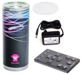 Ape Labs Can | Set of 1