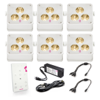 Ape Labs Maxi 2+ Creme Set of 6