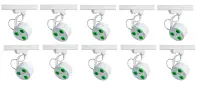 Ape Labs Track Maxi (white) | 10 Pack