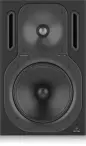 Behringer B2031A
