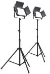 Chauvet DJ Cast Panel Pack (pair)