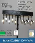 Eternal Lighting Event Cube