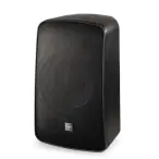 FBT Canto 5CA | Compact Coaxial Powered Speaker with DSP & 100W+50W Class-D Amp