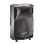 FBT ProMaxx 12