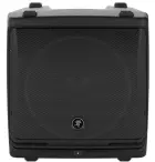 Mackie DLM12
