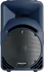 Mackie SRM450 V2