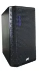 Peavey DM112 | 12in - 124dB