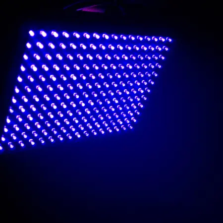101131