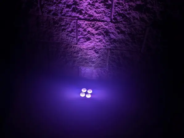 114169