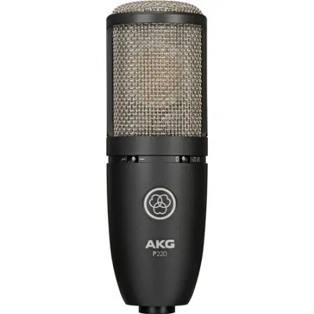 AKG P220