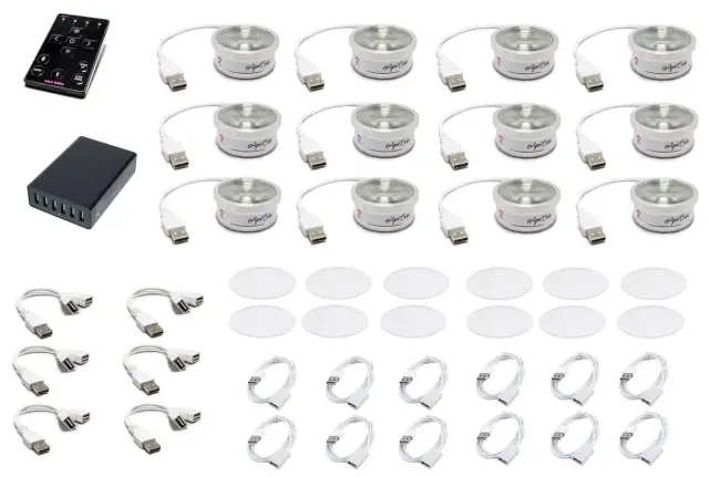 Ape Labs Coin | Set of 12