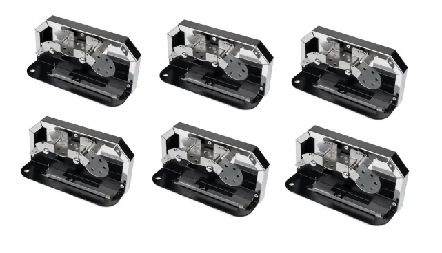 Ape Labs CoinBank | 6 pack