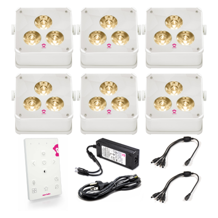 Ape Labs Maxi 2+ Creme Set of 6