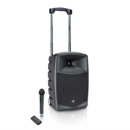 LD Systems Roadbuddy 10 Handheld