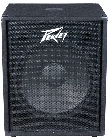Peavey PV118D