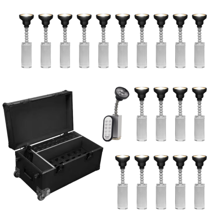 Rasha Bullet Pin Spot 20-Light Package | Includes 20-in-1 Charging Case | 20x 10W Battery Pin Spots