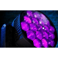 62d84UtmJkIW6WsLgfGGaTaXvbcXrRF0hXgskqFu.png