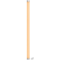 Ape Labs Neon Solo | IP65 70W RGBaW 180 Degree Battery Tube Light (ID: 100319) thumbnail 1